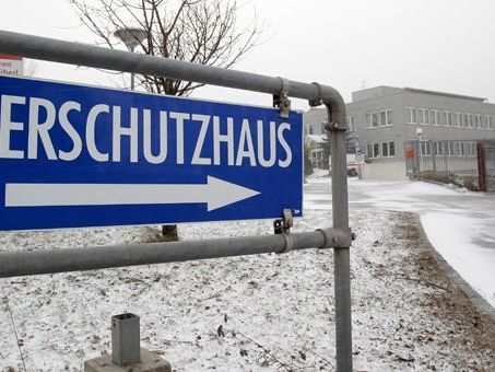 Das Wiener Tierschutzhaus ist mit dem angebotenen Grundstück der Stadt Wien nicht zufrieden. Das Wiener Tierschutzhaus ist mit dem angebotenen Grundstück der Stadt Wien nicht zufrieden.