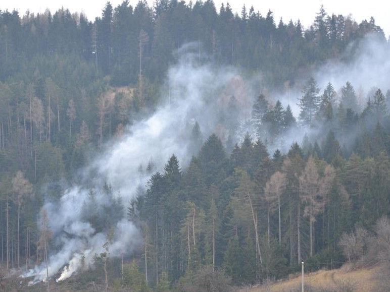 Waldbrand: Sechs Feuerwehren wurden zu einem Einsatz in Steyersberg gerufen.