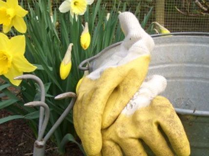 Auch ohne eigenen Garten kann in Wien gegartelt werden. Auch ohne eigenen Garten kann in Wien gegartelt werden.