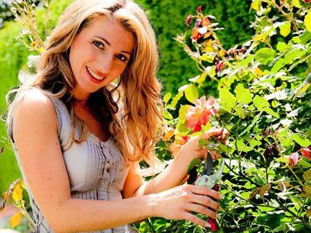 Haben Sie Ihren Garten schon auf Vordermann gebracht? Haben Sie Ihren Garten schon auf Vordermann gebracht?