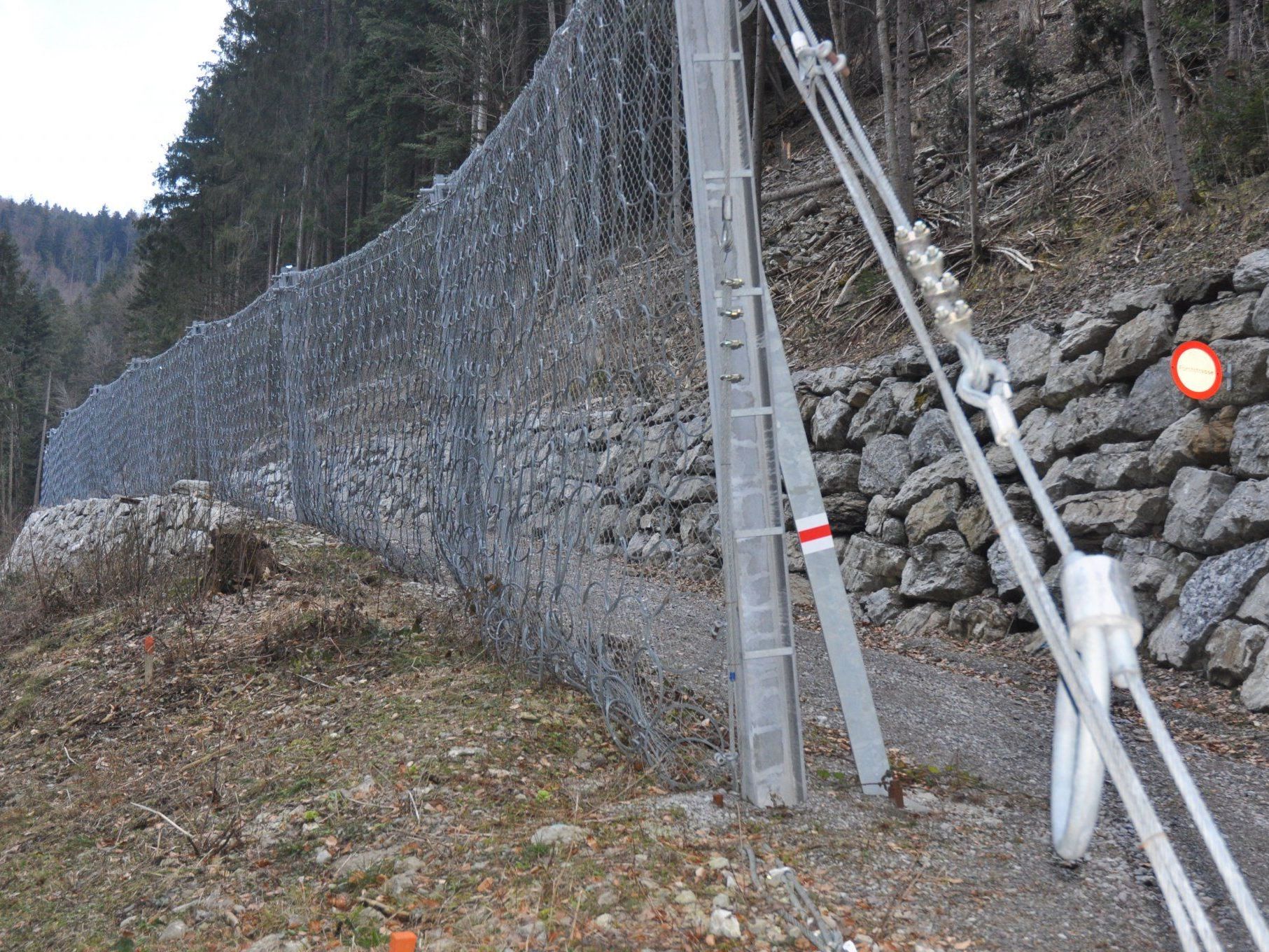 Ein Schutznetz dieser Art, soll für die Sicherheit im Klauser Wald sorgen. Ein Schutznetz dieser Art, soll für die Sicherheit im Klauser Wald sorgen.