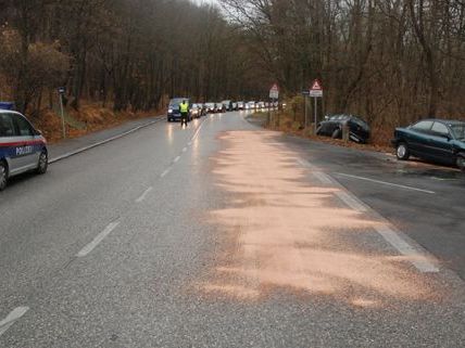 Der schwere Unfall ereignete sich Dienstagfrüh auf der Höhenstraße in Hernals Der schwere Unfall ereignete sich Dienstagfrüh auf der Höhenstraße in Hernals