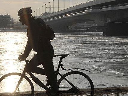 Ein Radfahrer genießt nahe der Reichsbrücke die ersten Sonnenstrahlen - hoffentlich mit einem voll funktionellen Fahrrad
