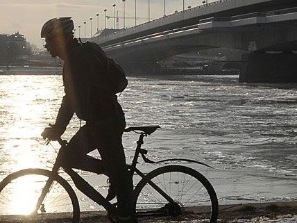 Ein Radfahrer genießt nahe der Reichsbrücke die ersten Sonnenstrahlen - hoffentlich mit einem voll funktionellen Fahrrad Ein Radfahrer genießt nahe der Reichsbrücke die ersten Sonnenstrahlen - hoffentlich mit einem voll funktionellen Fahrrad