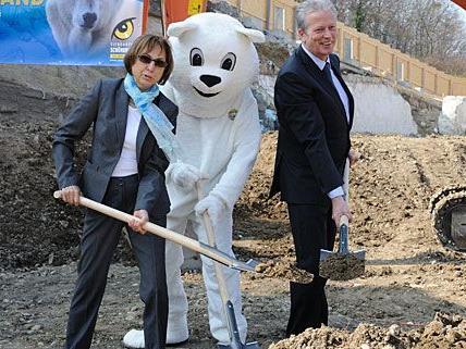 Hier entsteht das neue Zuhause der Eisbären in Schönbrunn