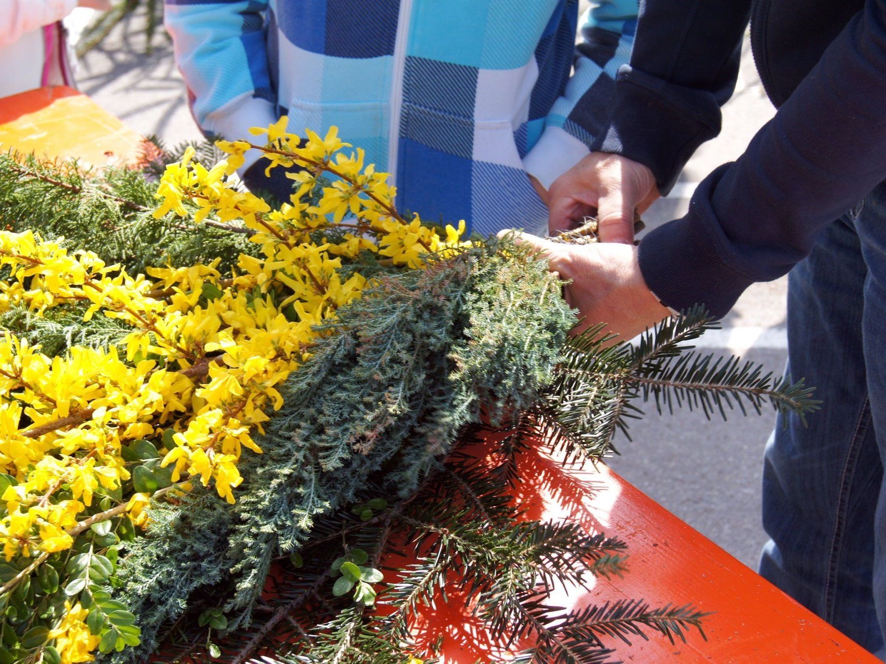Frühlingsblüten für den Palmsonntag Frühlingsblüten für den Palmsonntag