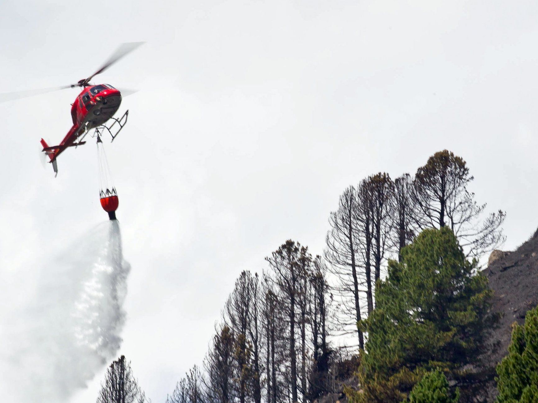 In Osttirol ist die Waldbrandgefahr derzeit besonders hoch. In Osttirol ist die Waldbrandgefahr derzeit besonders hoch.