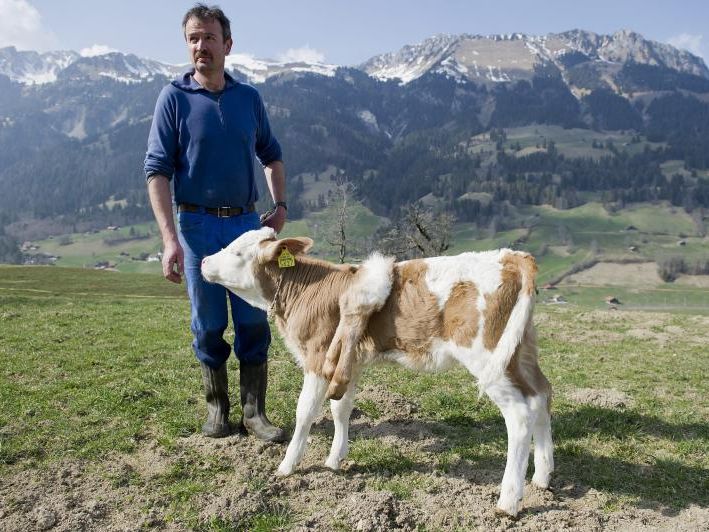 Der kleinen "Lilli" ist am Rücken ein zusätzliches Beinpaar gewachsen. Der kleinen "Lilli" ist am Rücken ein zusätzliches Beinpaar gewachsen.