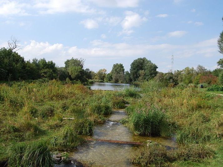 Am 22. März wird die Wiener Lobau "geputzt".