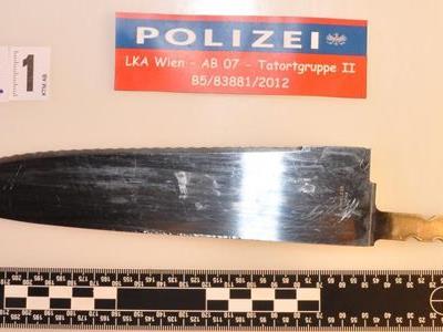 Die Polizei soll insgesamt neun Mal auf die rabiate Frau in Wien-Fünfhaus geschossen haben.