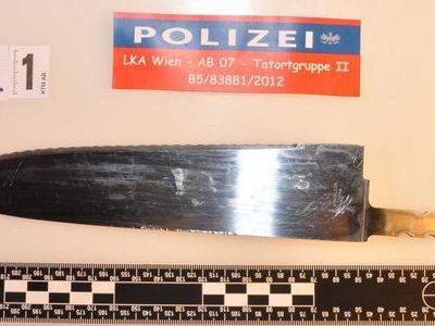 Die Polizei soll insgesamt neun Mal auf die rabiate Frau in Wien-Fünfhaus geschossen haben. Die Polizei soll insgesamt neun Mal auf die rabiate Frau in Wien-Fünfhaus geschossen haben.