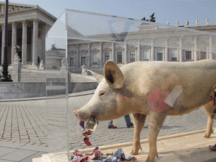 Das Schwein "Marie Cochon" protestierte vor dem Parlament gegen die Gier.