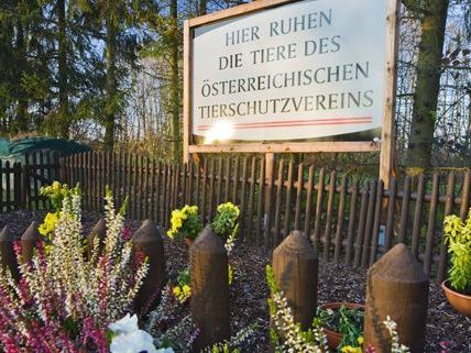 Tiere der `Assisi-Höfe´ finden ihre letzte Ruhe im Gemeinschaftsgrab. Tiere der `Assisi-Höfe´ finden ihre letzte Ruhe im Gemeinschaftsgrab.