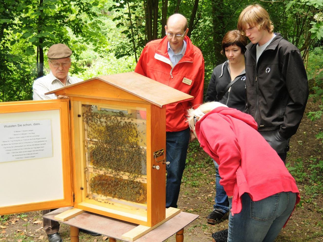 Erfolgreiche Öffentlichkeitsarbeit des Bienenzuchtvereins Höchst, Fußach, Gaißau, Hard