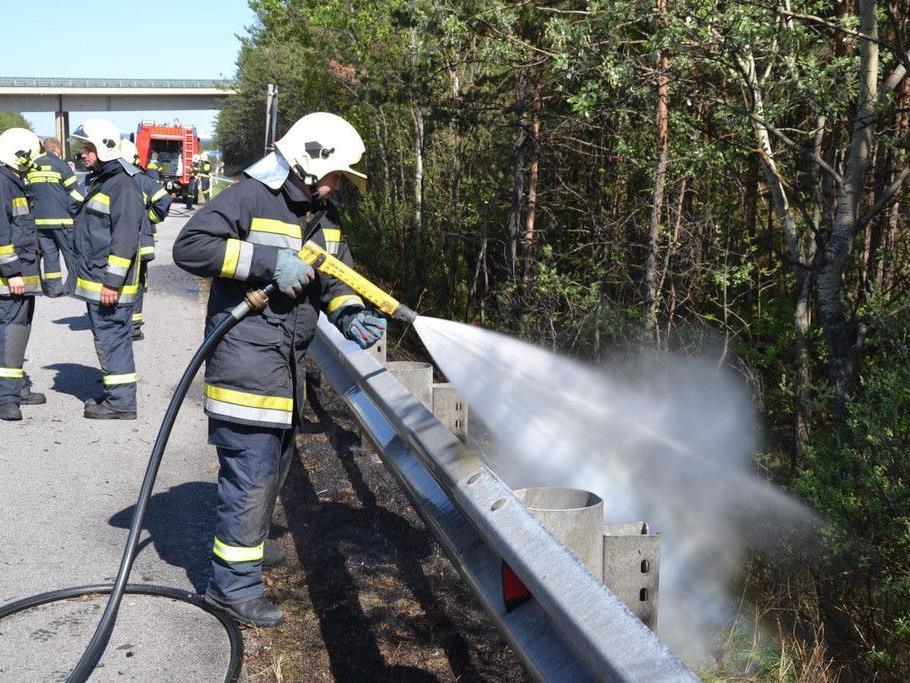 Viel zu löschen hatten die Feuerwehren bei den Flurbränden in Niederösterreich bei Natschbach und Kleinfeld