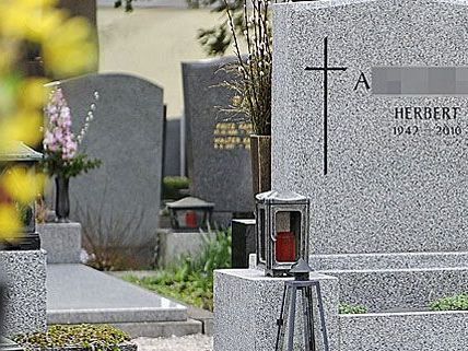 Um die "ungeklärten Todesfälle" aufzuklären, wurde nun ein Expertenteam zusammengestellt. Um die "ungeklärten Todesfälle" aufzuklären, wurde nun ein Expertenteam zusammengestellt.