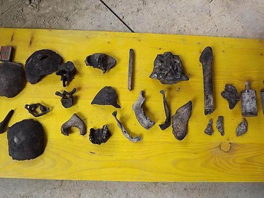 Diese Knochen wurden bei den Bauarbeiten in Meidling entdeckt und werden nun untersucht