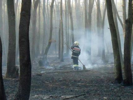 Die genaue Brandursache für das Waldfeuer im Burgenland ist noch unklar, die Polizei ermittelt.