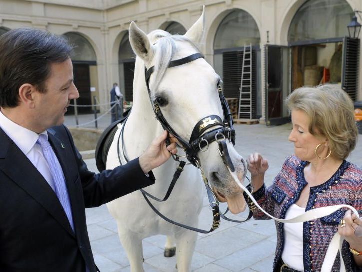 Umweltminister Berlakovich und Lipizzaner-Chefin Elisabeth Gürtler freuen sich über den Gewinn der Hofreitschule Umweltminister Berlakovich und Lipizzaner-Chefin Elisabeth Gürtler freuen sich über den Gewinn der Hofreitschule