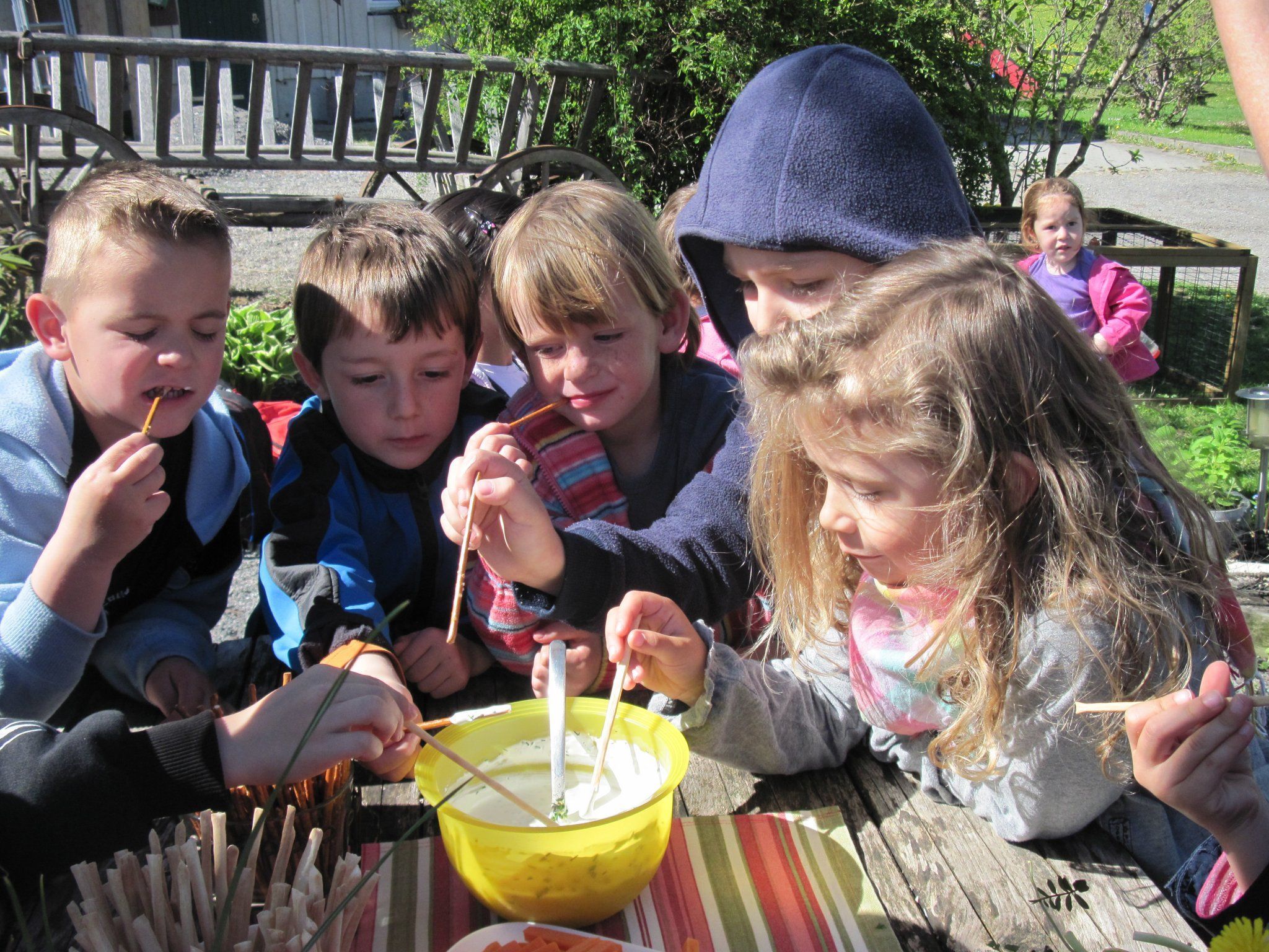 Melissensaft und Kräuterquark schmecken allen Käferlekindern Melissensaft und Kräuterquark schmecken allen Käferlekindern