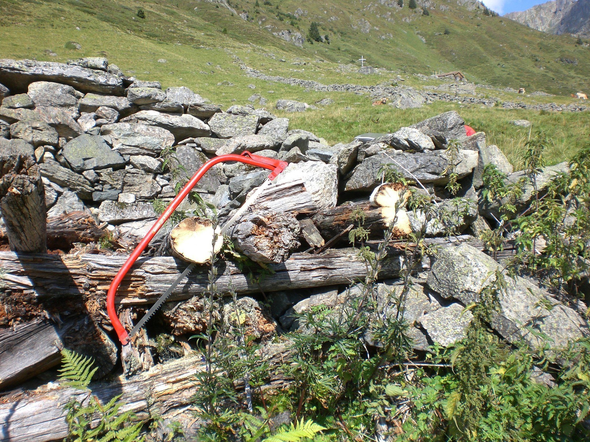 Holzreste alpiner Ruinen lassen interessante Rückschlüsse zu. Holzreste alpiner Ruinen lassen interessante Rückschlüsse zu.