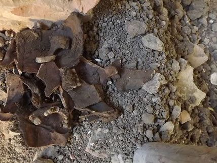 Erneut wurden bei Bauarbeiten in Meidling Skelettteile gefunden. Erneut wurden bei Bauarbeiten in Meidling Skelettteile gefunden.