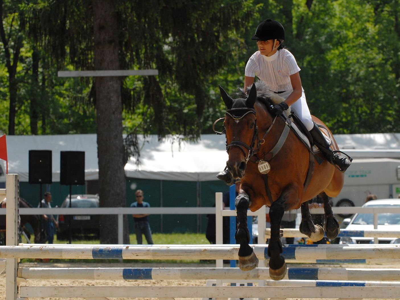 Vier Tage lang gibt sich die internationale Reitelite in Dornbirn ein Stelldichein.