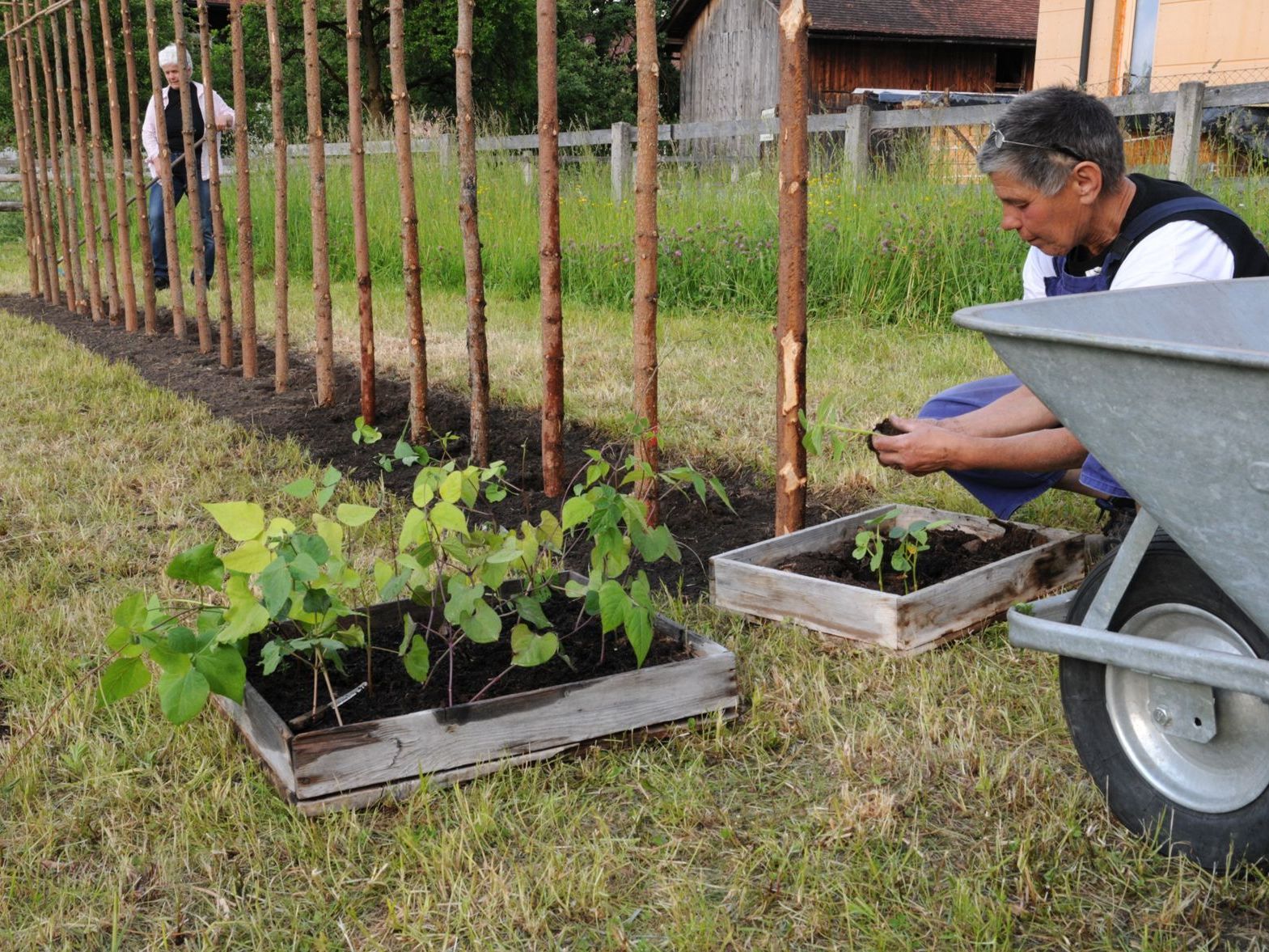 Arbeiten in einer kreativen und nutzvollen Gartenkultur. Arbeiten in einer kreativen und nutzvollen Gartenkultur.