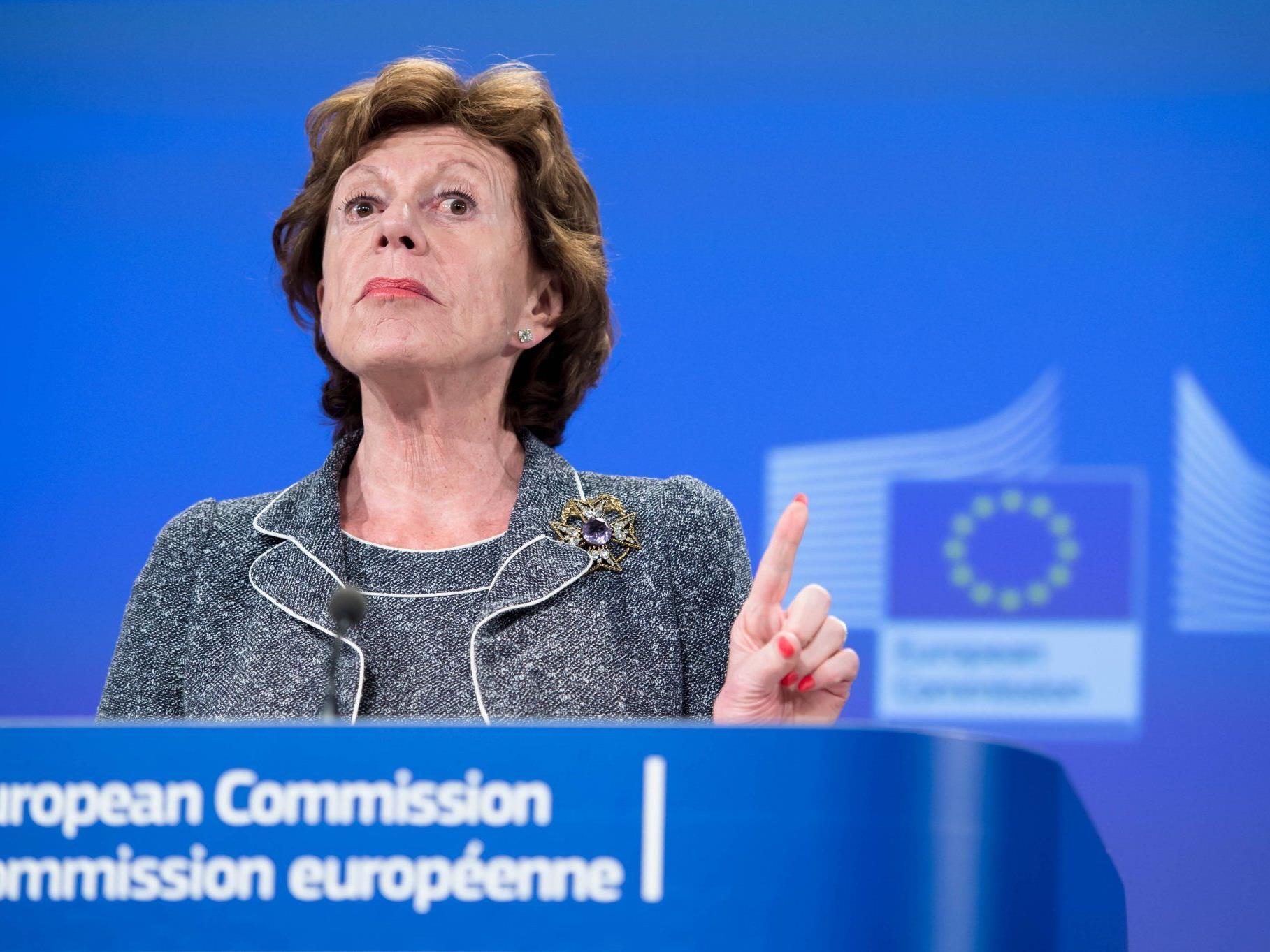 EU-Kommissarin Neelie Kroes strebt bis Jahresende konkrete Resultate an.