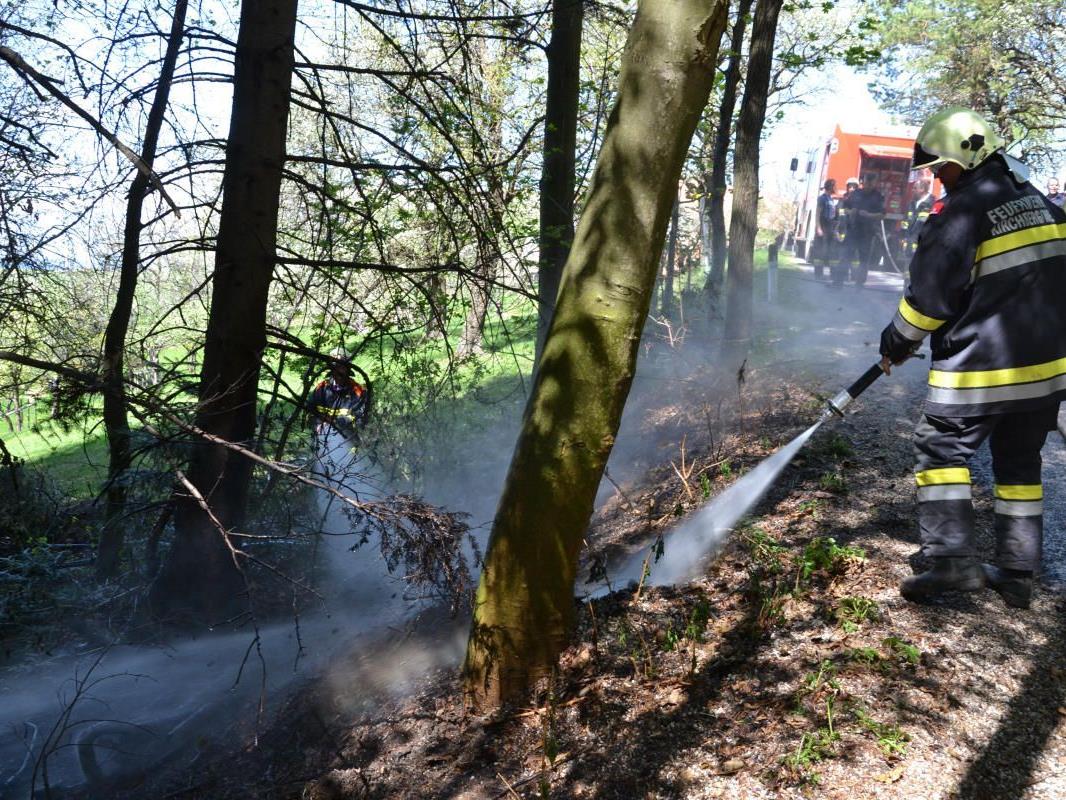 40 Mann löschten einen erneuten Waldbrand in Niederösterreich bei Neunkirchen