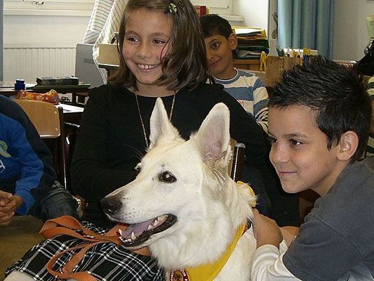 Hunde in der Schule machen Kindern nicht nur Spaß, sondern auch Sinn Hunde in der Schule machen Kindern nicht nur Spaß, sondern auch Sinn