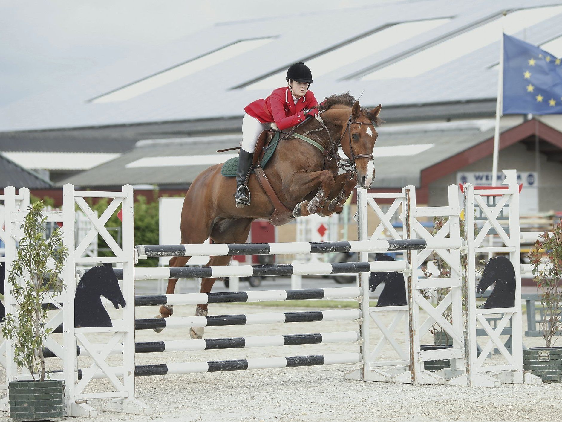 Lisa Maria Rudigier CSIO Moorsele (Belgien) vom 10. - 13.5.12 Lisa Maria Rudigier CSIO Moorsele (Belgien) vom 10. - 13.5.12