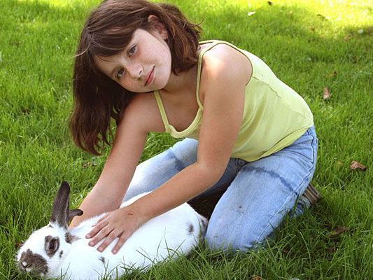 Die meisten Kinder lieben Haustiere - bei der Kinder Tier Woche gibt es viele Infos darüber Die meisten Kinder lieben Haustiere - bei der Kinder Tier Woche gibt es viele Infos darüber
