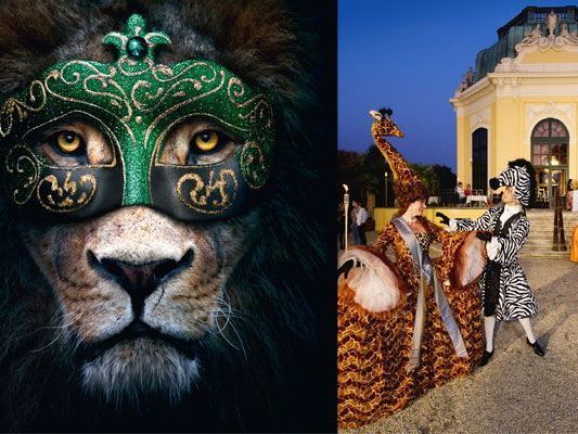 Bei der Langen Sommernacht im Tiergarten Schönbrunn erleben Sie Tiere auch in der Nacht Bei der Langen Sommernacht im Tiergarten Schönbrunn erleben Sie Tiere auch in der Nacht