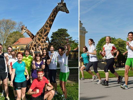 Laufen als tierisches Vergnügen: Der Zoolauf in und um Schönbrunn