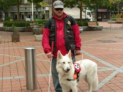 Blindenführhund Dimo beitet Julian Nagl Hilfe auf vier Pfoten und begleitet ihn sicher durch die Stadt. Blindenführhund Dimo beitet Julian Nagl Hilfe auf vier Pfoten und begleitet ihn sicher durch die Stadt.