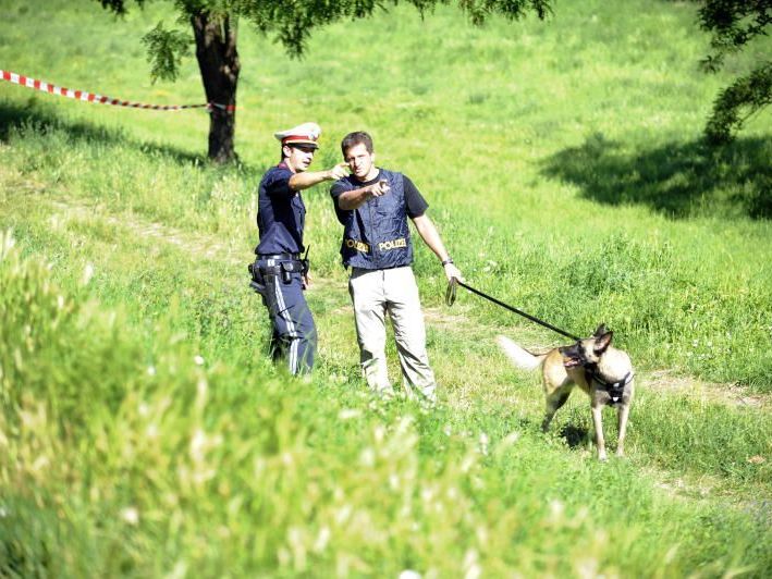 Die Polizei sucht mit Spürhunden nach Heidrun W. - SYMBOLBILD Die Polizei sucht mit Spürhunden nach Heidrun W. - SYMBOLBILD