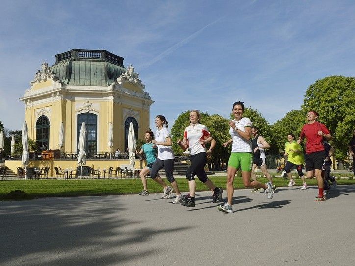 Der Zoolauf im Tiergarten Schönbrunn wird an Tieren aller Kontinente vorbeiführen