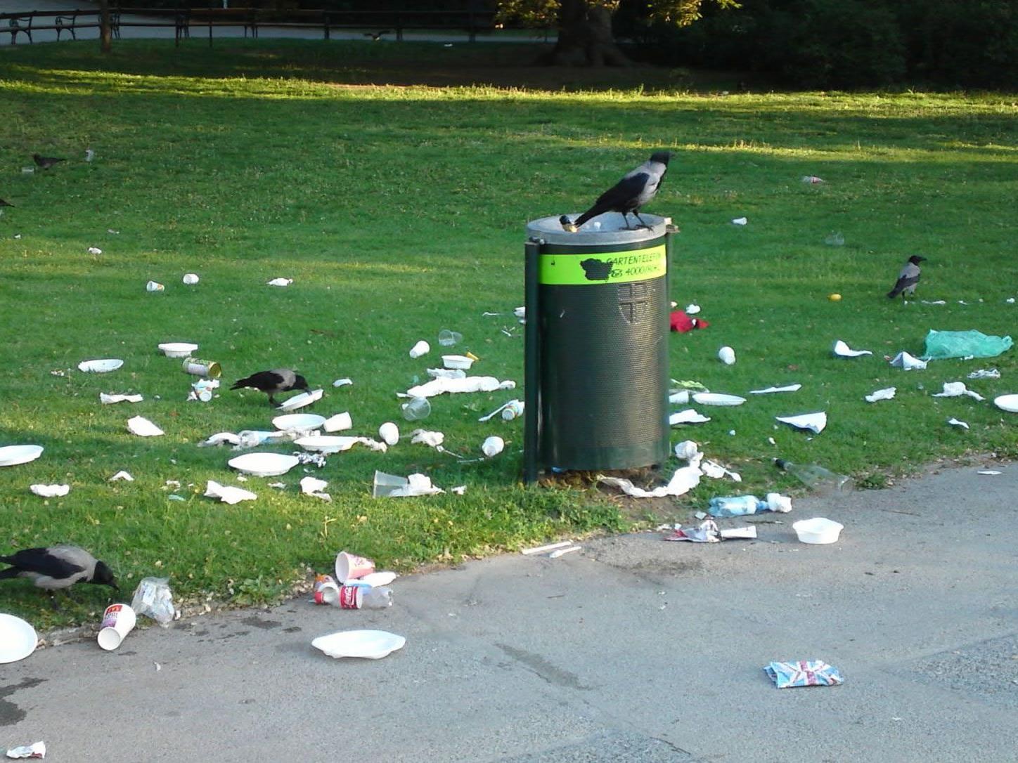 Nicht die Parkbesucher waren es, die ihren Müll neben den Mistkübeln verteilt haben, sondern die Krähen.