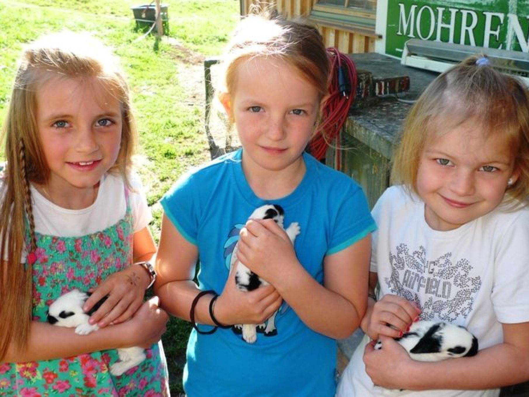 Paula, Nea und Miriam genossen die Zeit mit den süßen Hasenbabys. Paula, Nea und Miriam genossen die Zeit mit den süßen Hasenbabys.