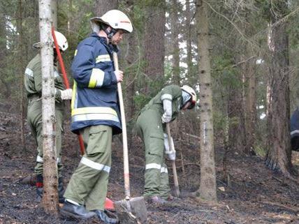 Vier Feuerwehren waren am Mittwoch wegen des Waldbrands in Kirchberg am Wechsel im Einsatz.