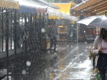 Am Donnerstag kommt endlich Regen nach Wien Am Donnerstag kommt endlich Regen nach Wien
