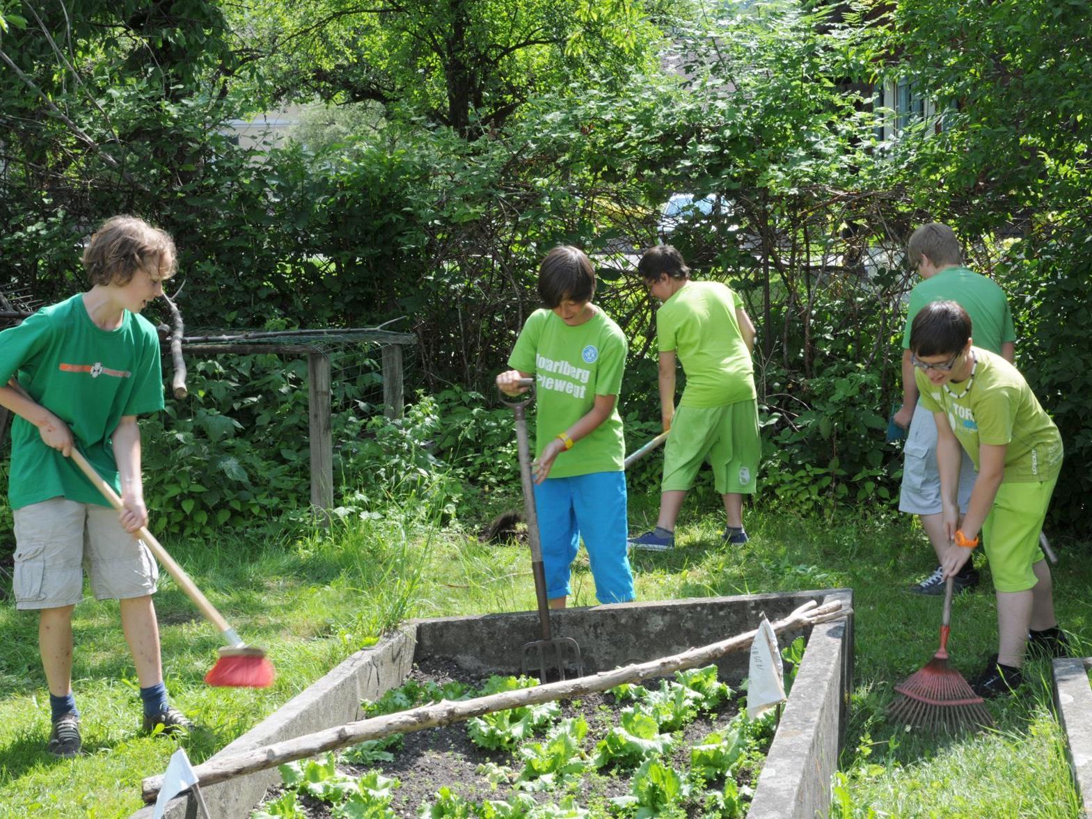 Die Nenzinger Mittelschüler sind zwischenzeitlich Experten in Sachen „Garten“.