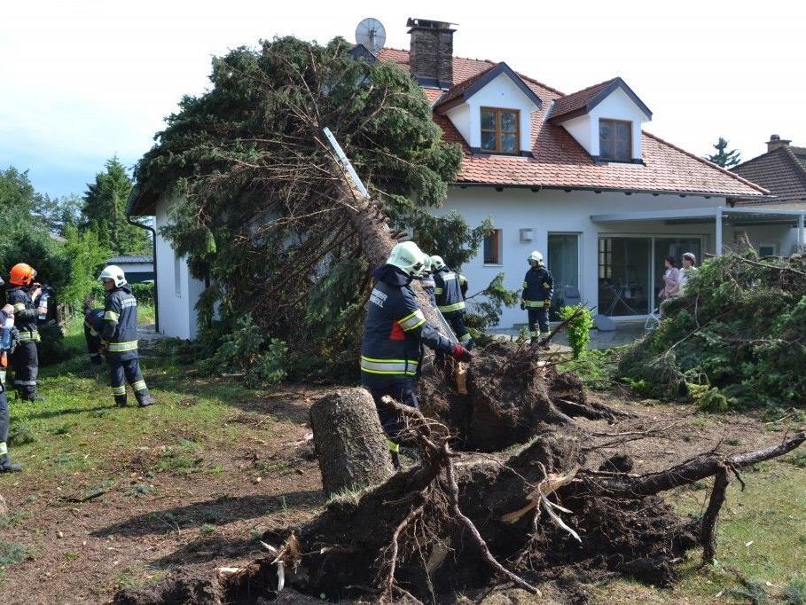 Nicht nur Sachschaden, sondern auch Verletzte forderte das Unwetter in Niederösterreich