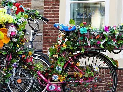 Radfahrern werden auf der Hasnerstraße künftig Rosen gestreut