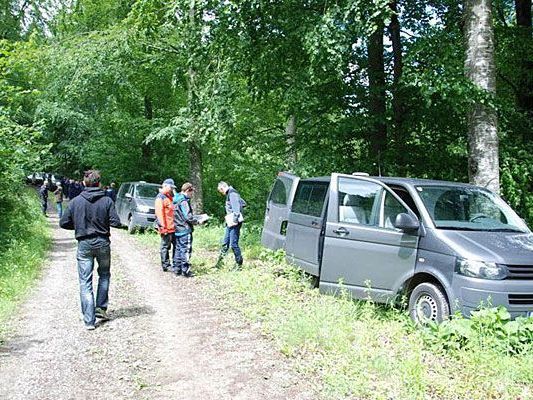 In diesem Waldstück in Ofenbach soll Heidrun W. verunglückt sein