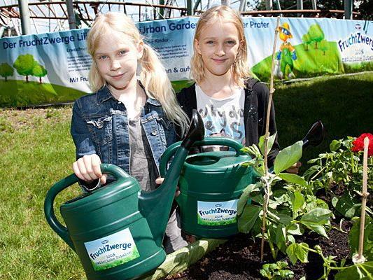 Wenn Schulkinder die Freude am Urban Gardening entdecken