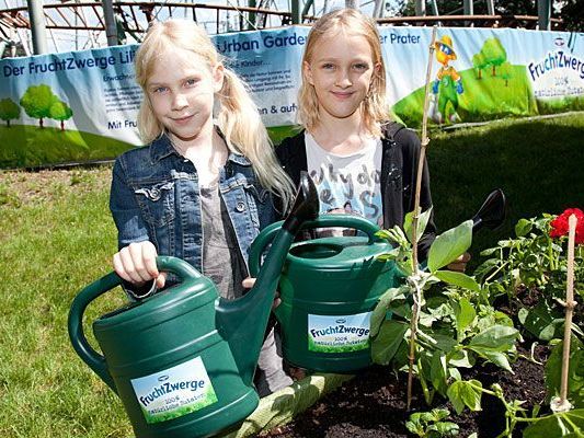 Wenn Schulkinder die Freude am Urban Gardening entdecken