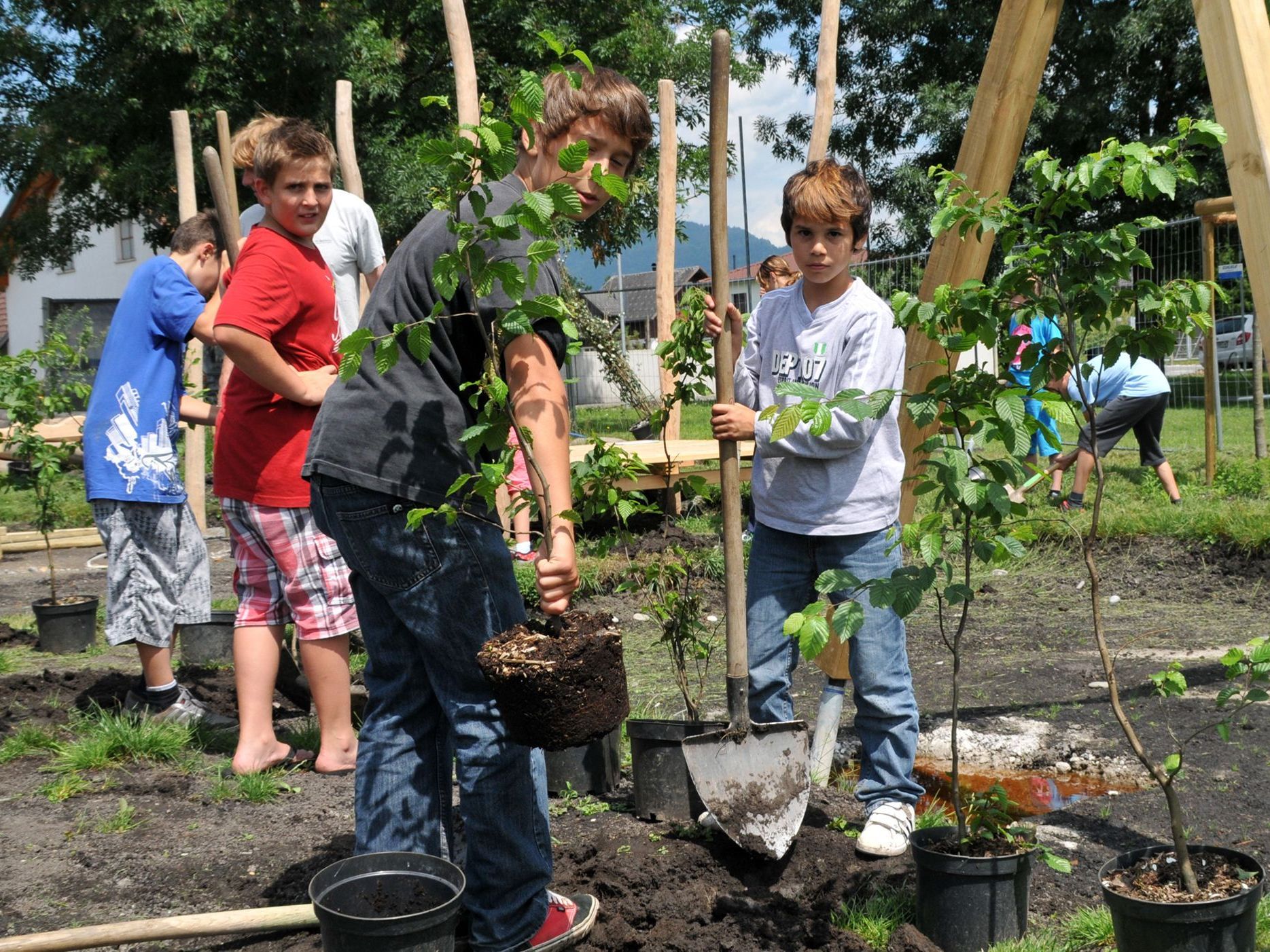 Harder Schülerinnen und Schüler bei Pflanzen der Büsche auf dem Spielplatz im Erlach.