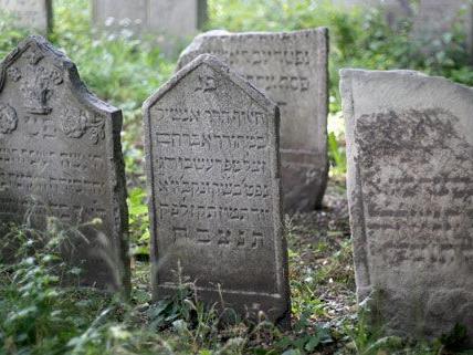 50 Grabsteine auf dem Jüdischen Friedhof in der Seegasse wurden restauriert.